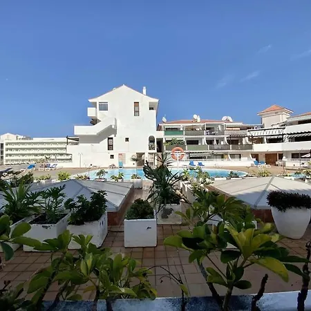 Апартаменти Brand New In Parque Royal Pool Terrace Wifi Адехе